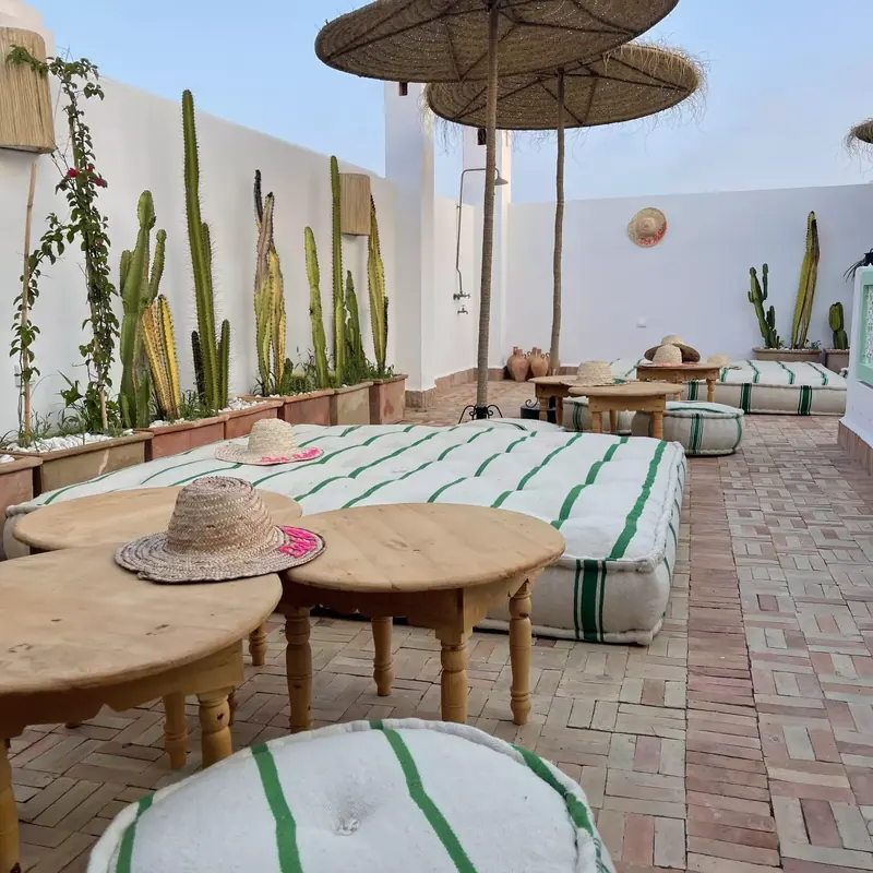 Cactus et parasol