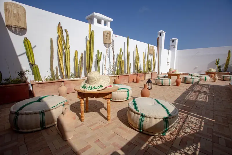 Le toit, côté cactus