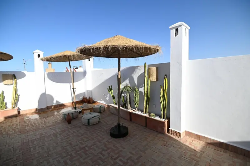 Les parasols de paille